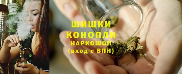 дурь Бородино