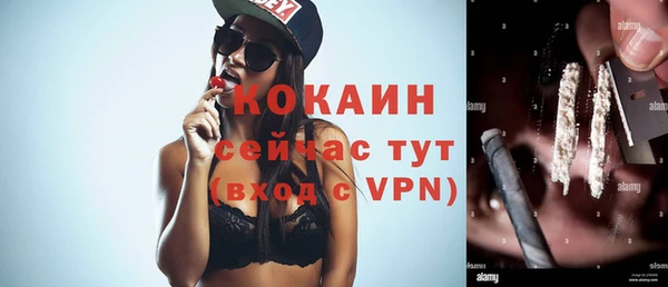 дурь Бородино