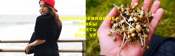 МДПВ Бугульма