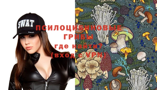 МДПВ Бугульма