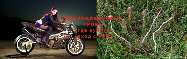 марки nbome Бронницы