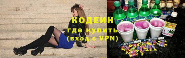 дурь Бородино