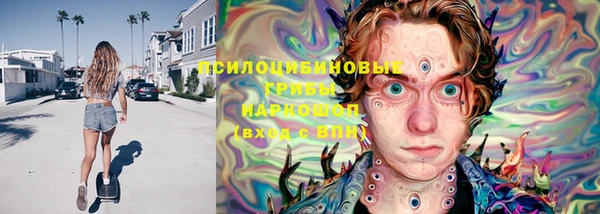 дурь Бородино